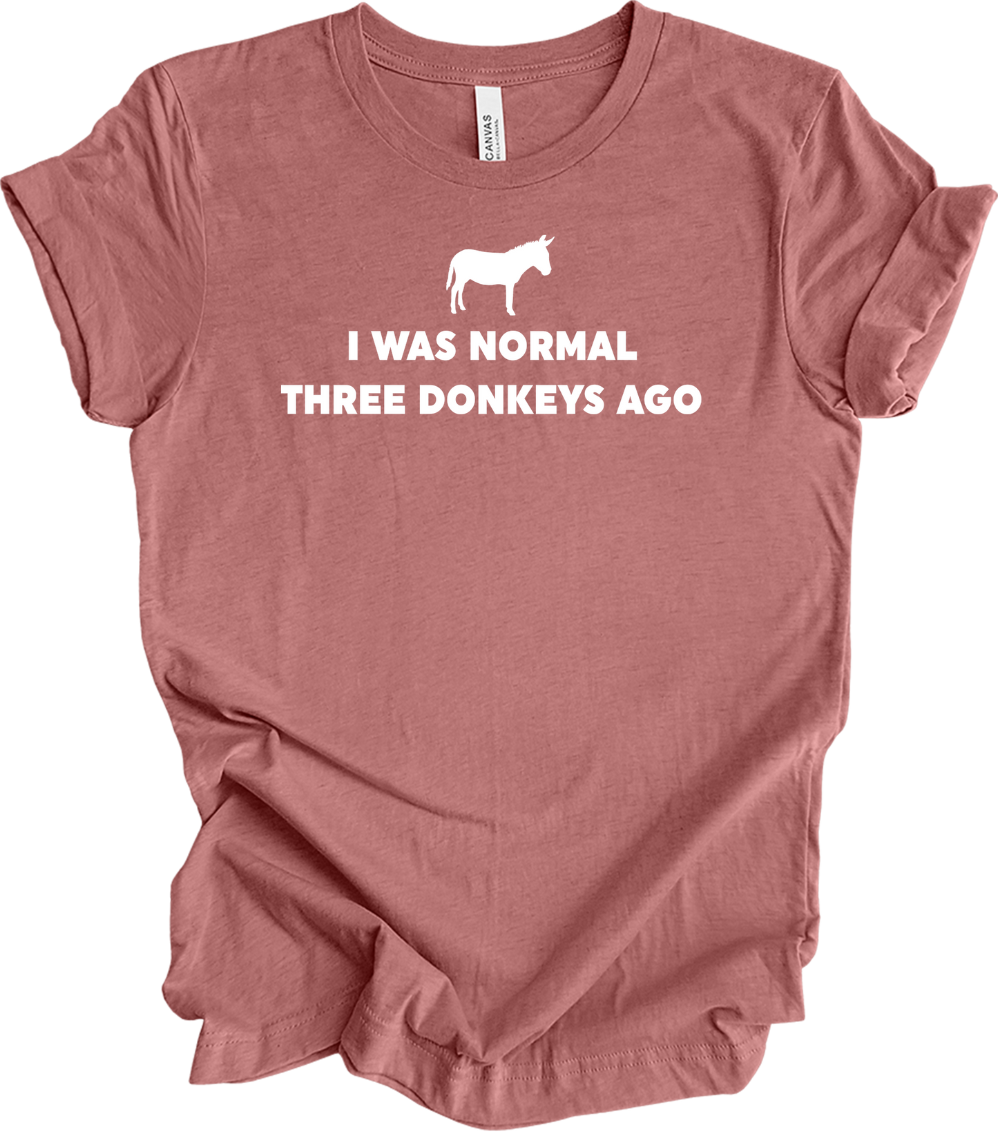 Funny Donkey Lover T-Shirt in Heather Mauve