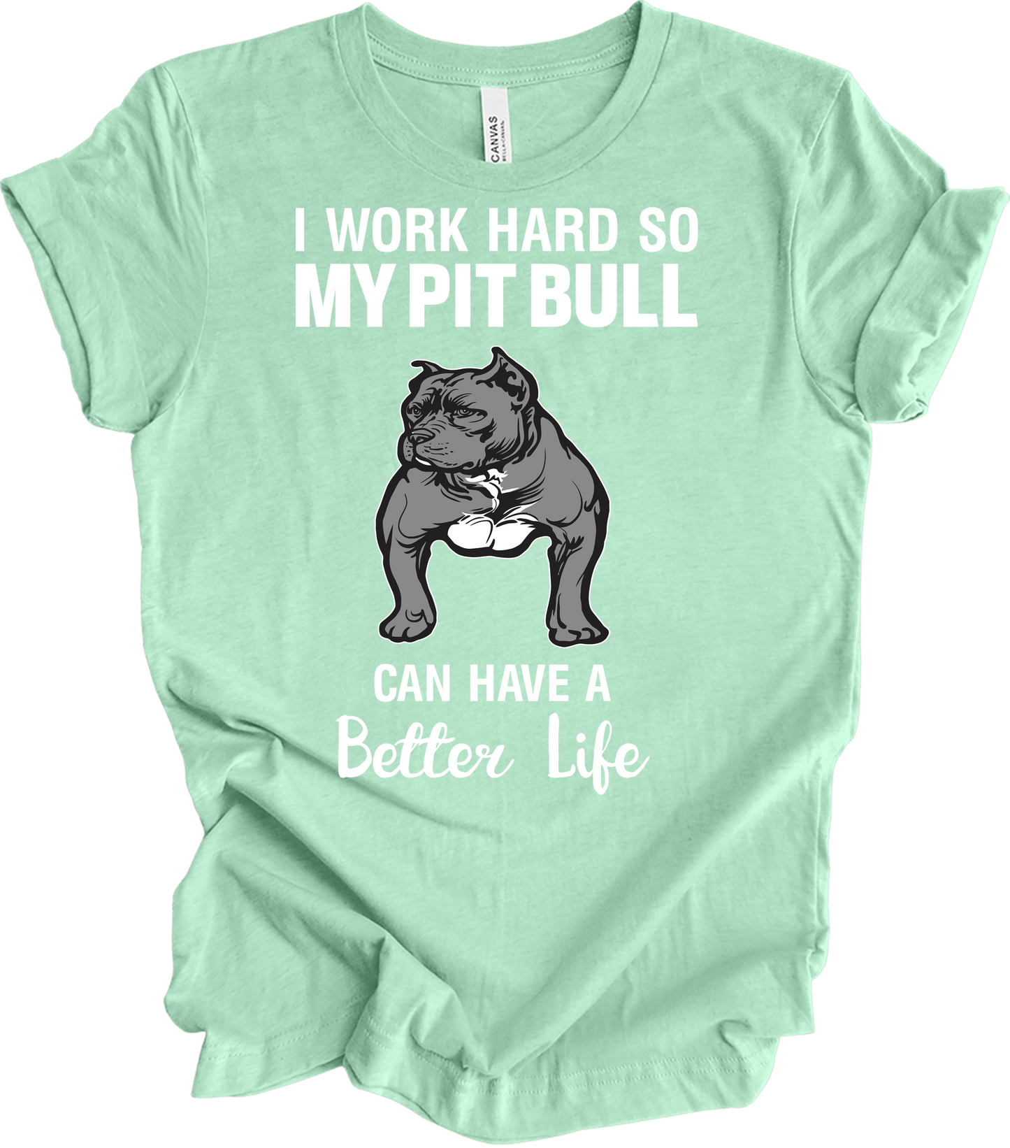 Pitbull Better Life T-Shirt in Heather Mint