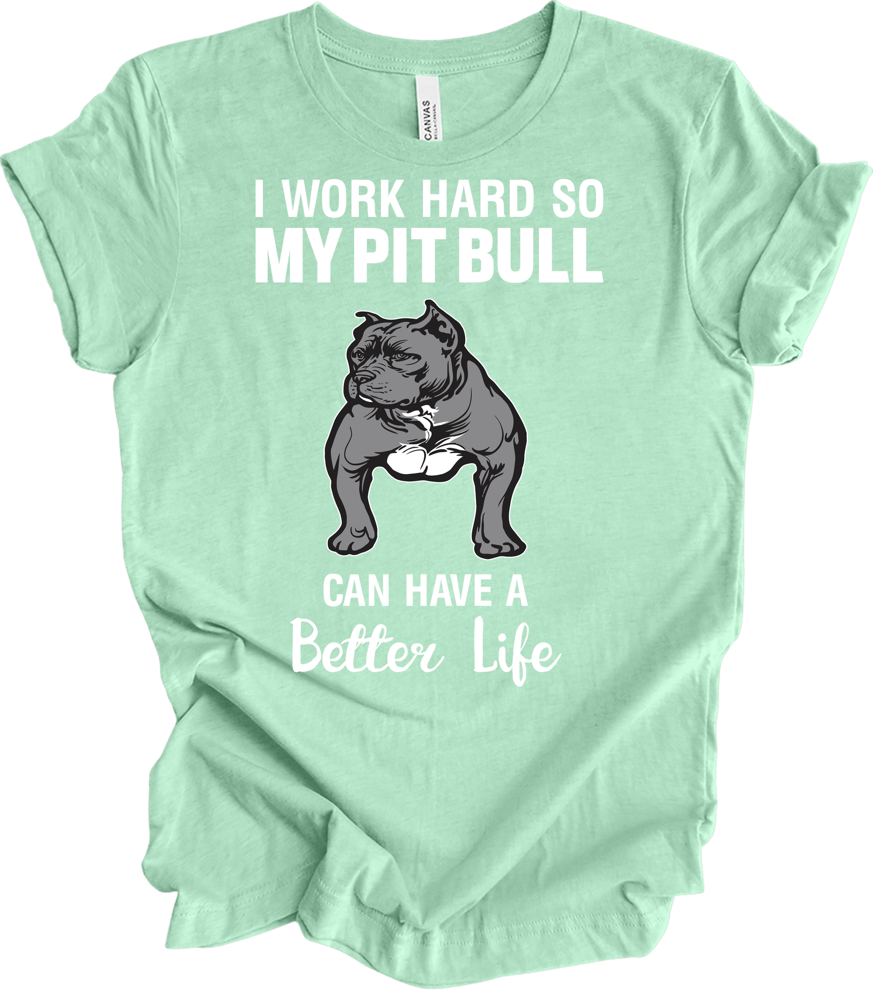 Pitbull Better Life T-Shirt in Heather Mint
