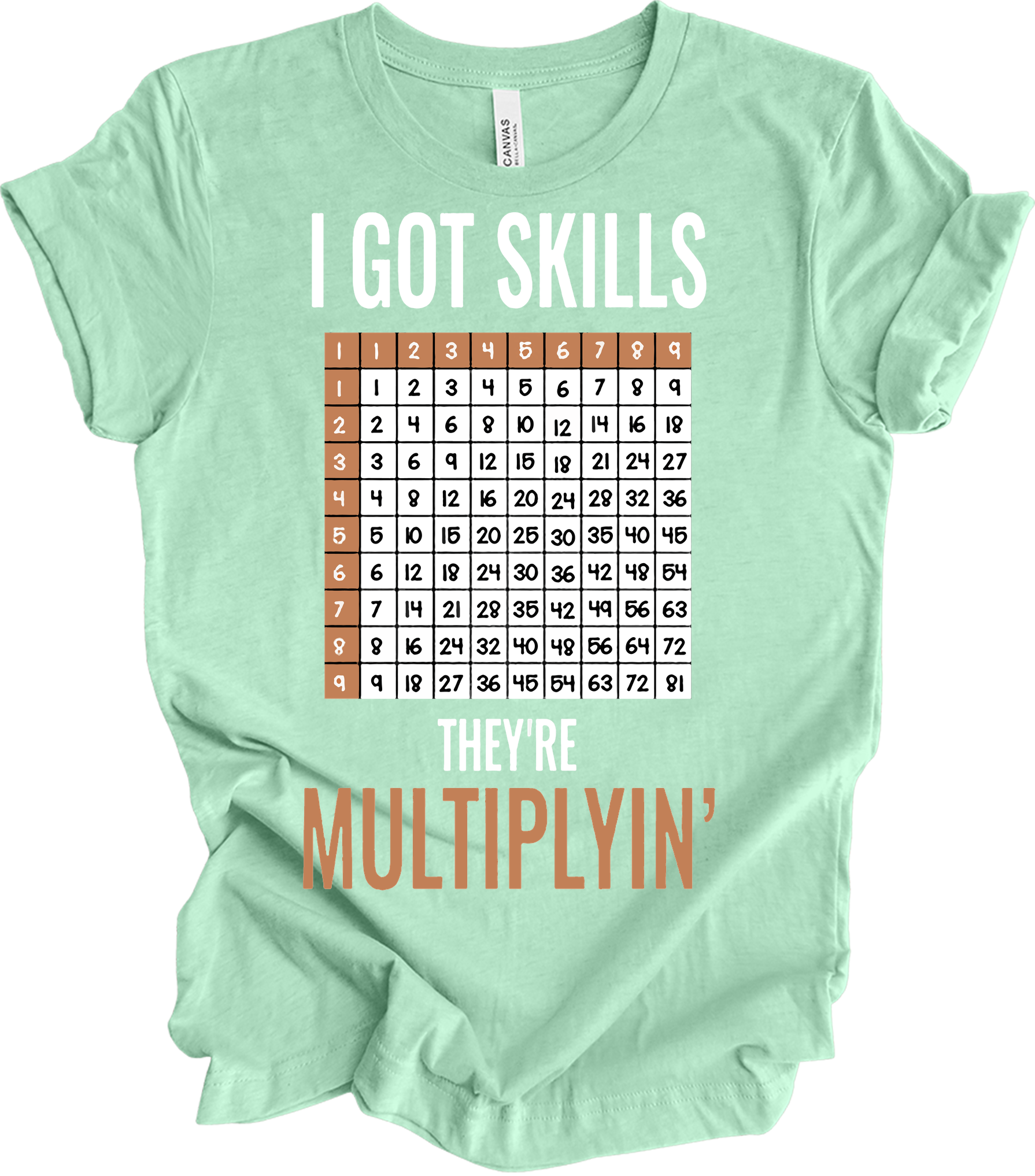 Math Teacher - I Got Skills They're Multiplyin' Funny T-Shirt in Heather Mint