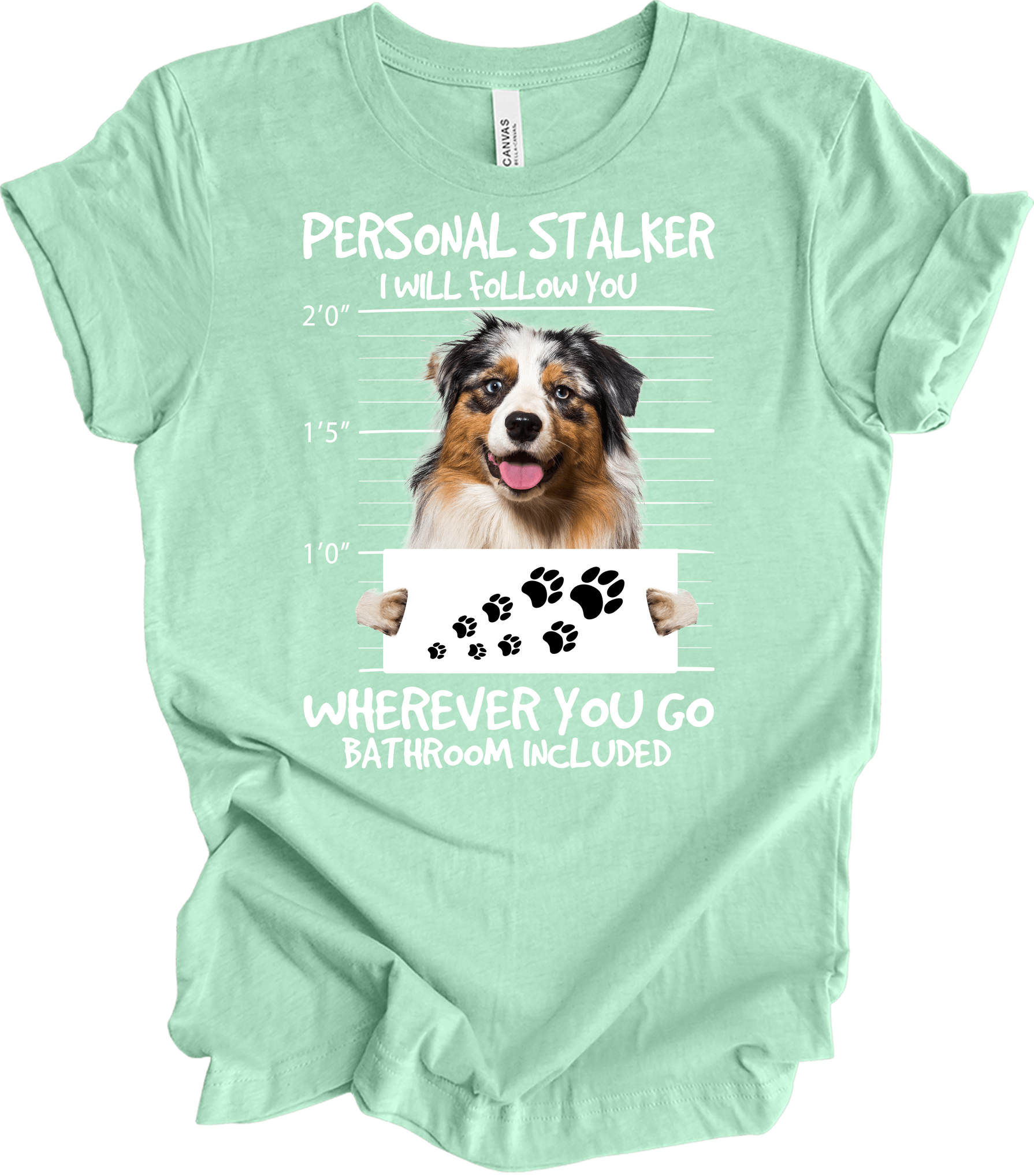 Aussie Shepherd Stalker T-Shirt in Heather Mint