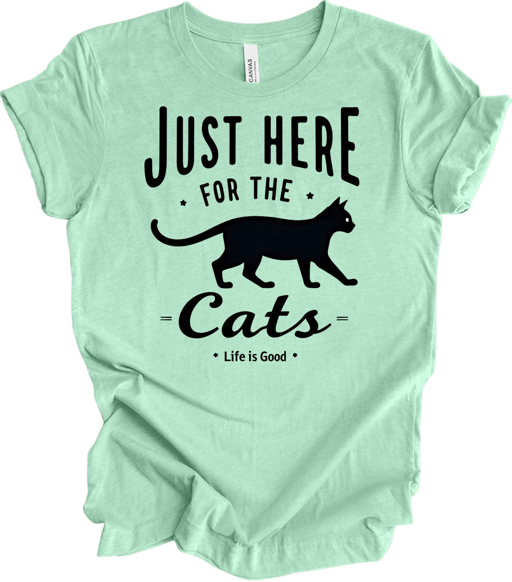 Here for the Cats T-Shirt in Heather Mint