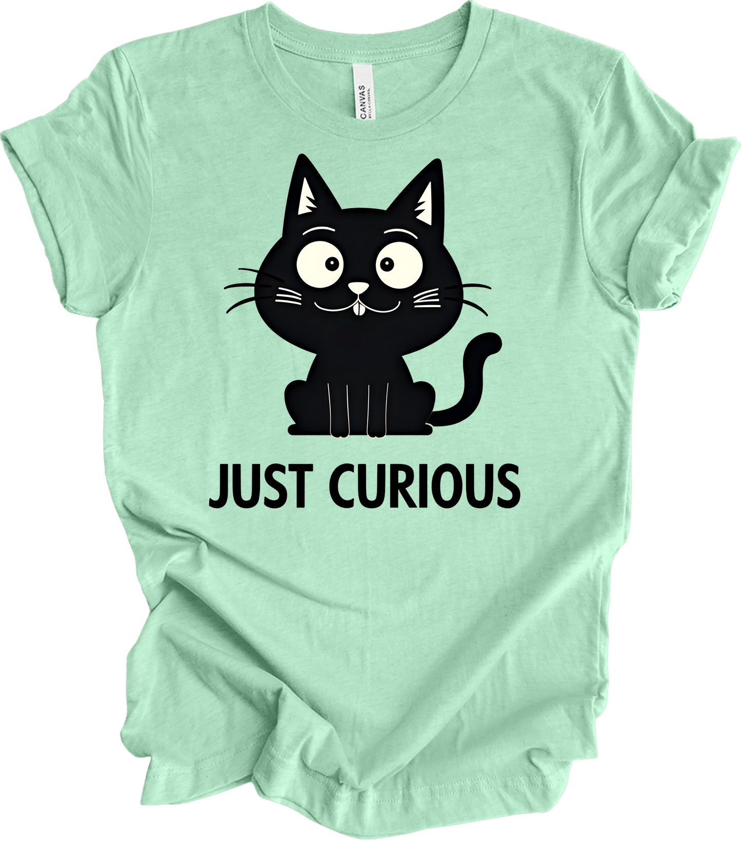 Curious Cat - Funny Black Cat Design T-Shirt in Heather Mint