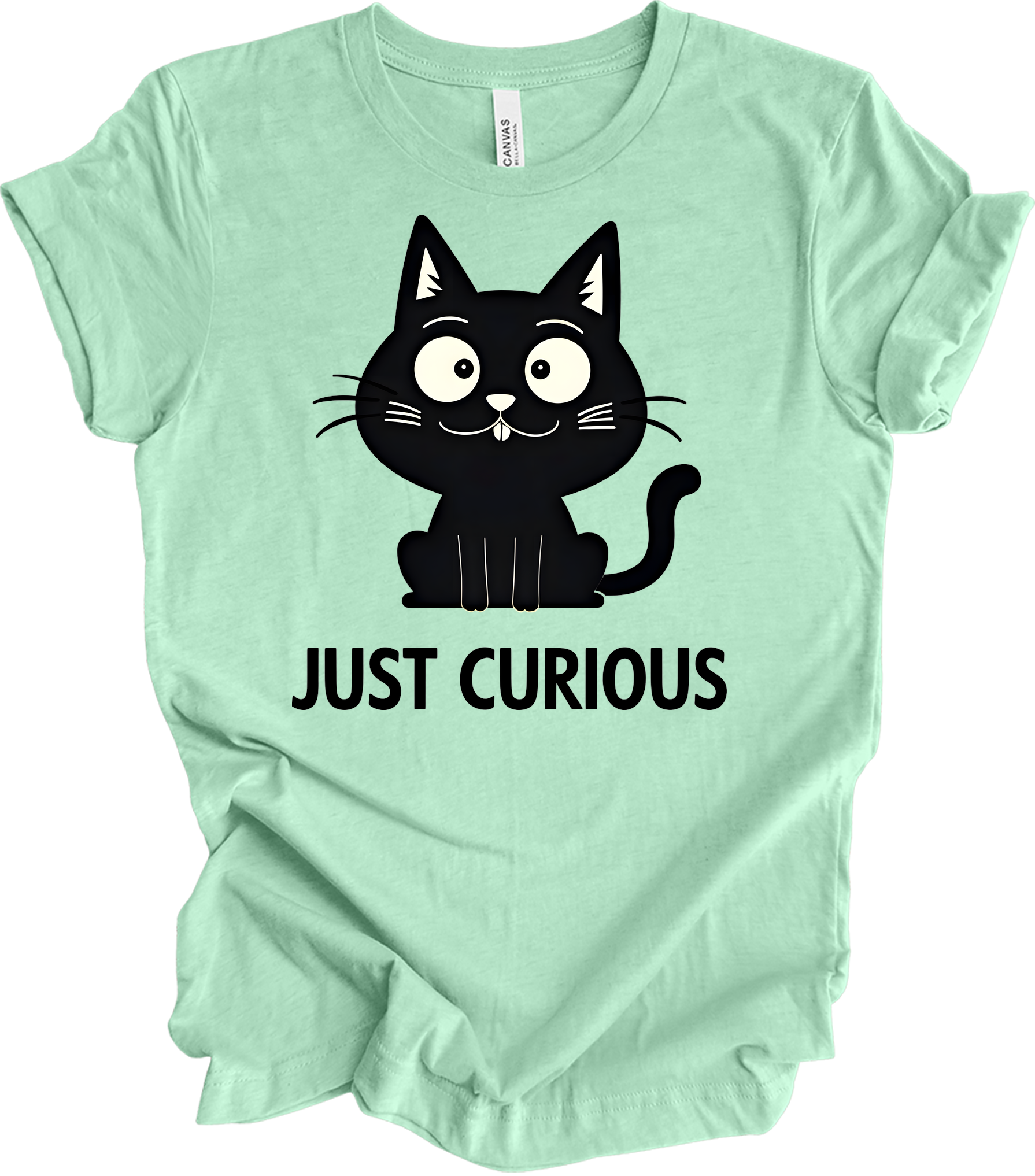 Curious Cat - Funny Black Cat Design T-Shirt in Heather Mint