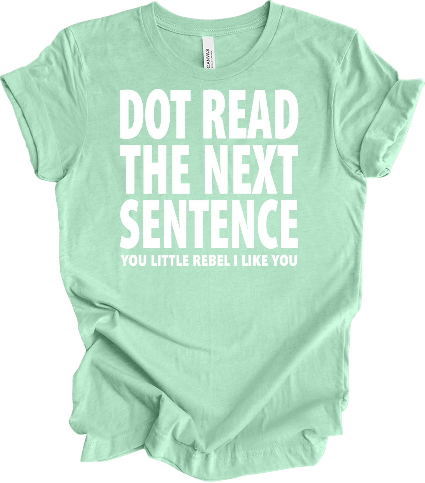Don't Read The Next Sentence T-Shirt in Heather Mint