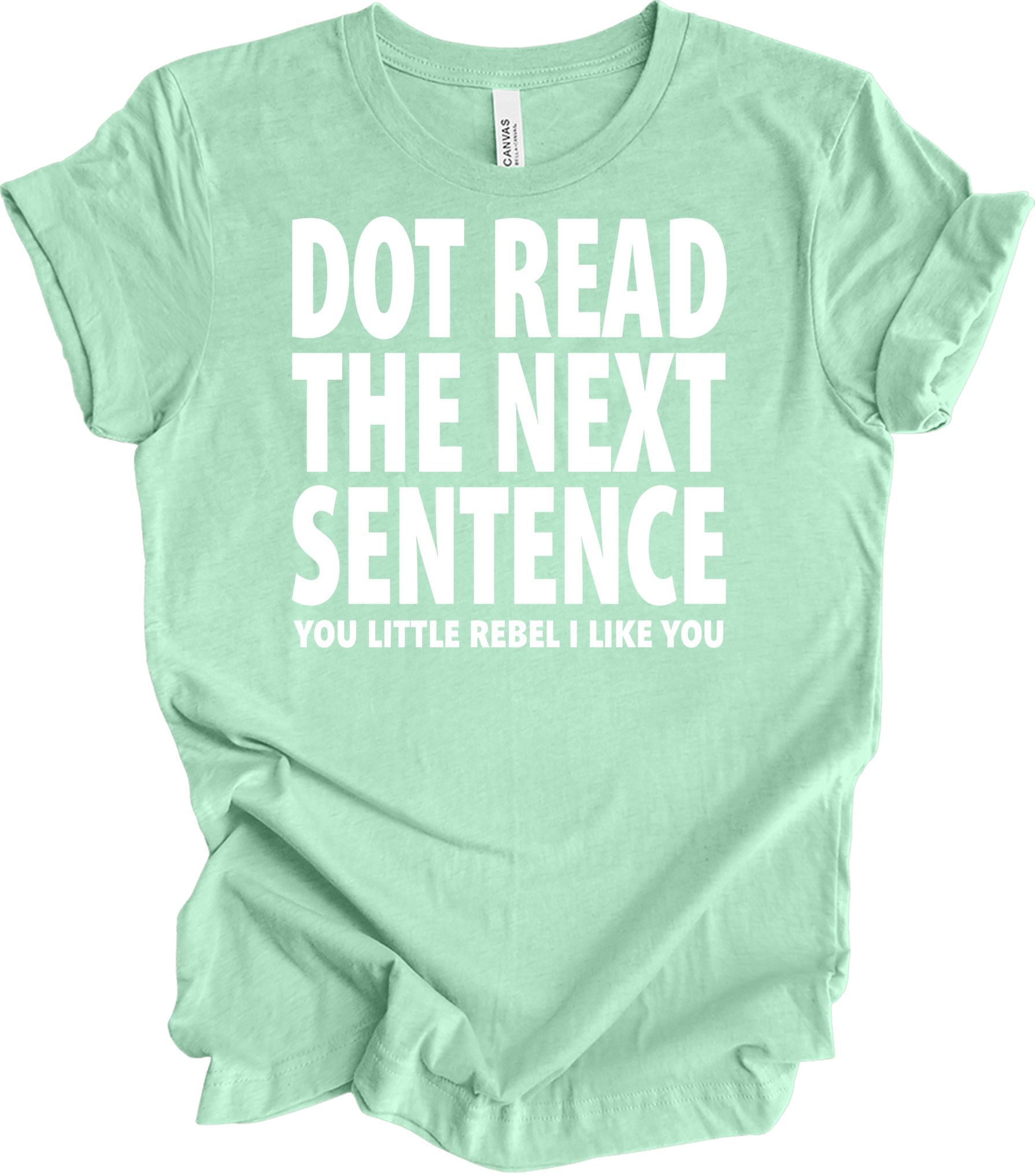 Don't Read The Next Sentence T-Shirt in Heather Mint