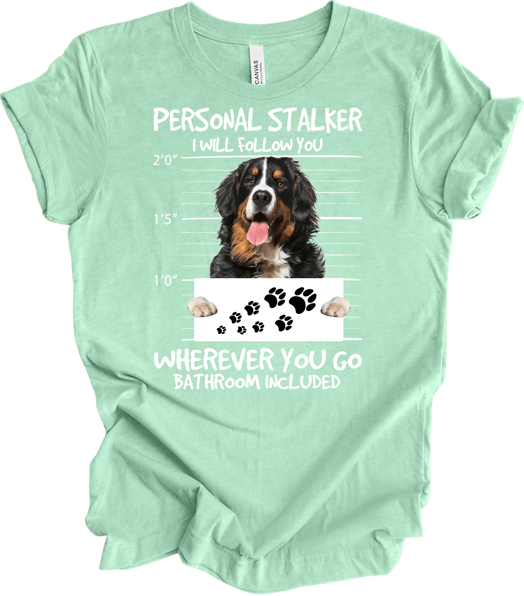 Bernese Dog Stalker Unisex T-Shirt in Heather Mint