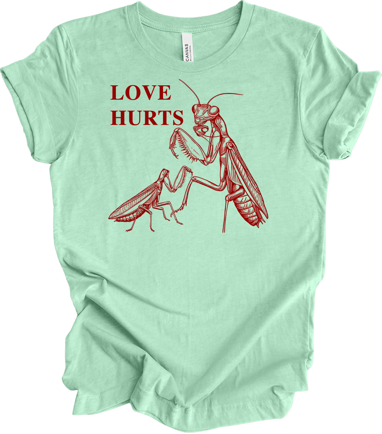Love Hurts Praying Mantis T-Shirt in Heather Mint