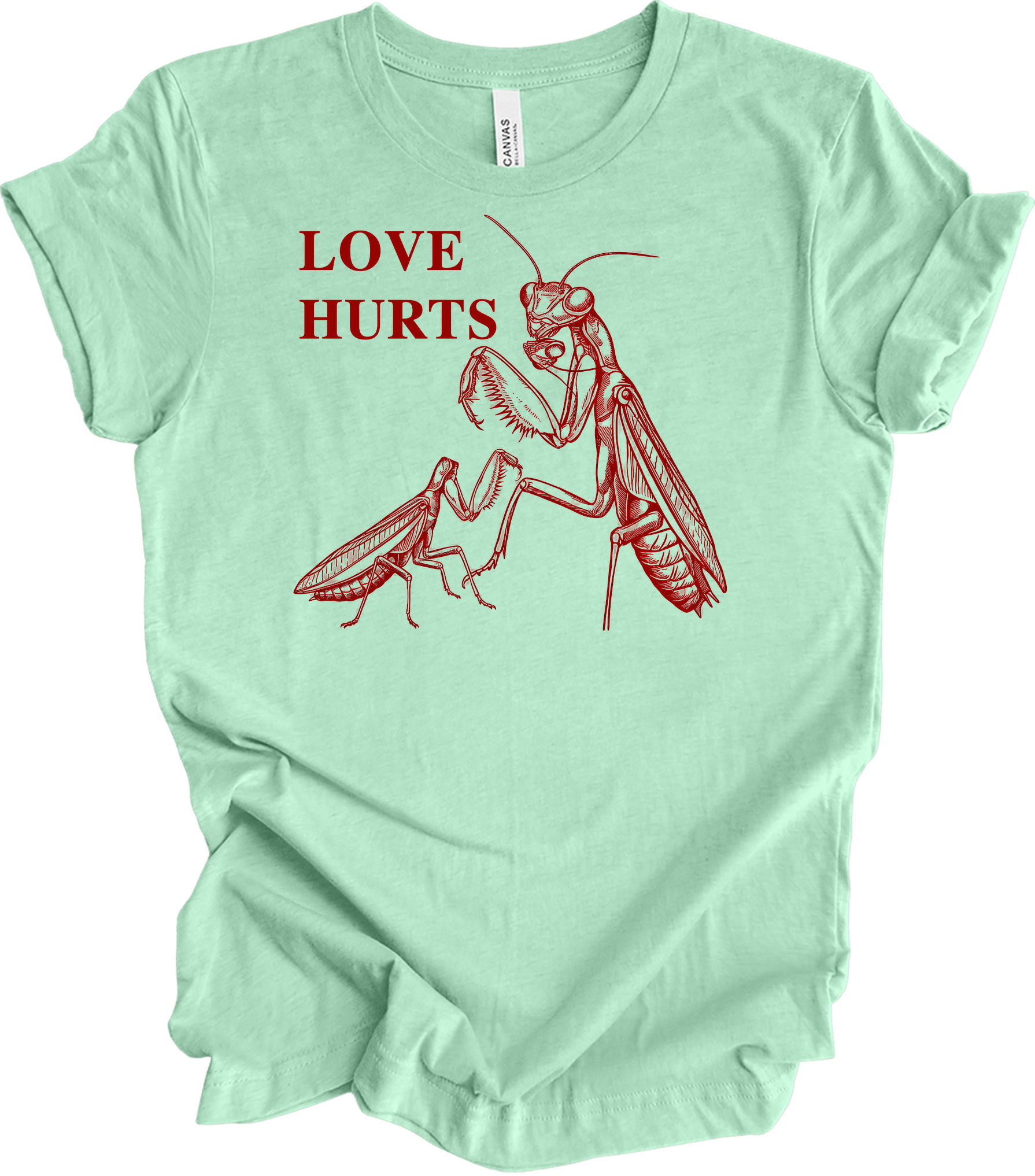 Love Hurts Praying Mantis T-Shirt in Heather Mint