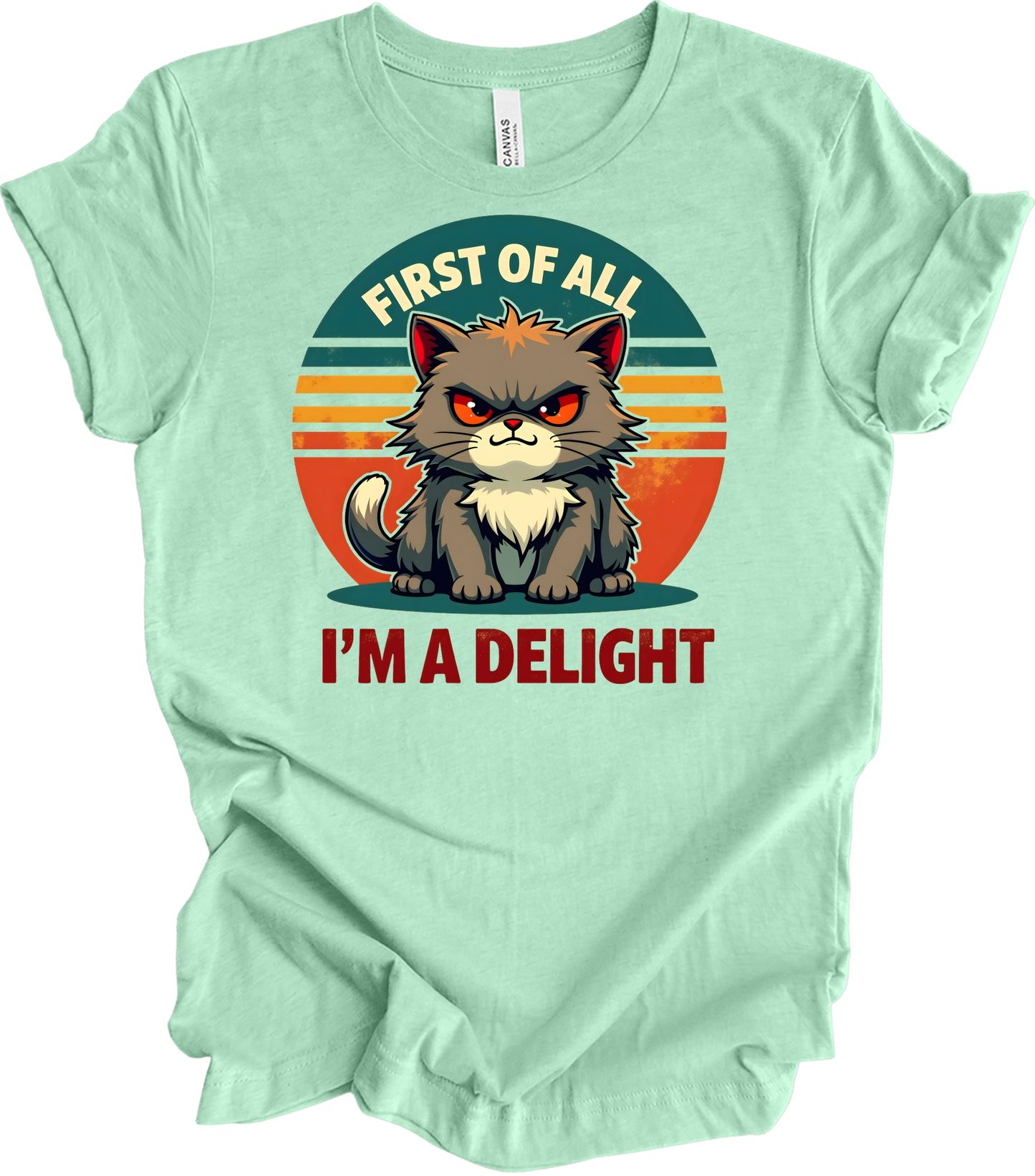 Grumpy Cat 'I'm a Delight' T-Shirt in Heather Mint