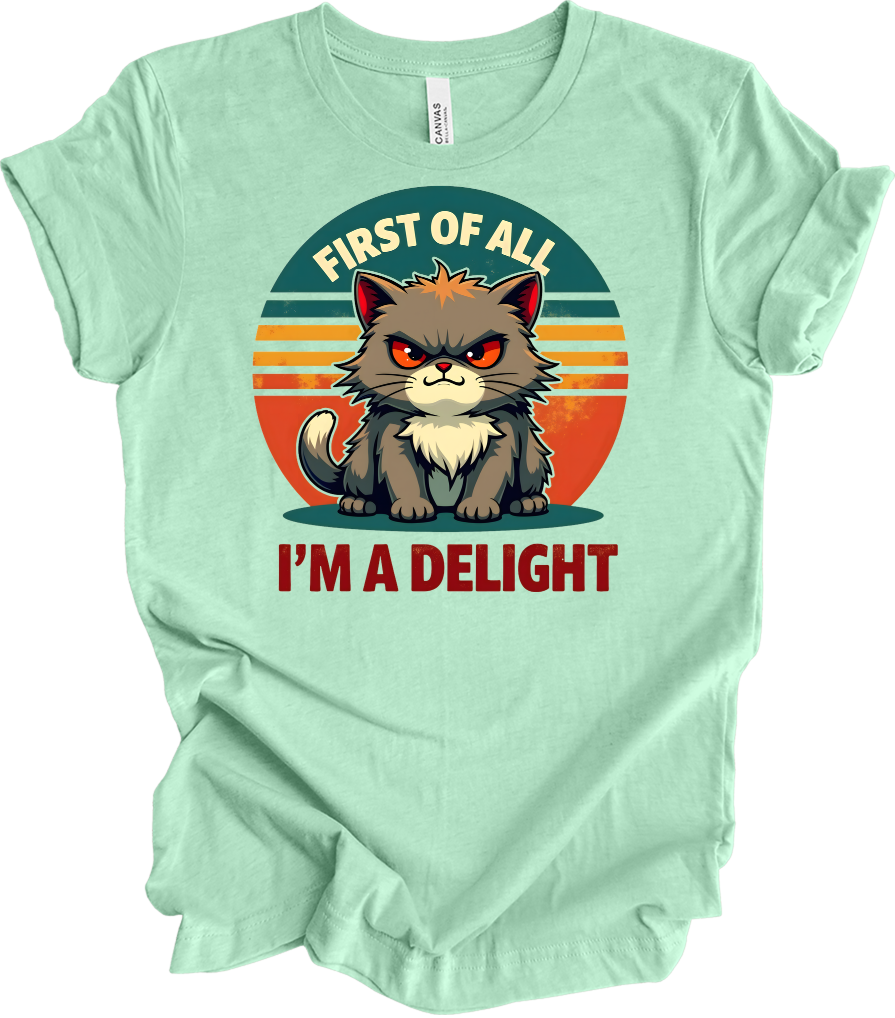 Grumpy Cat 'I'm a Delight' T-Shirt in Heather Mint