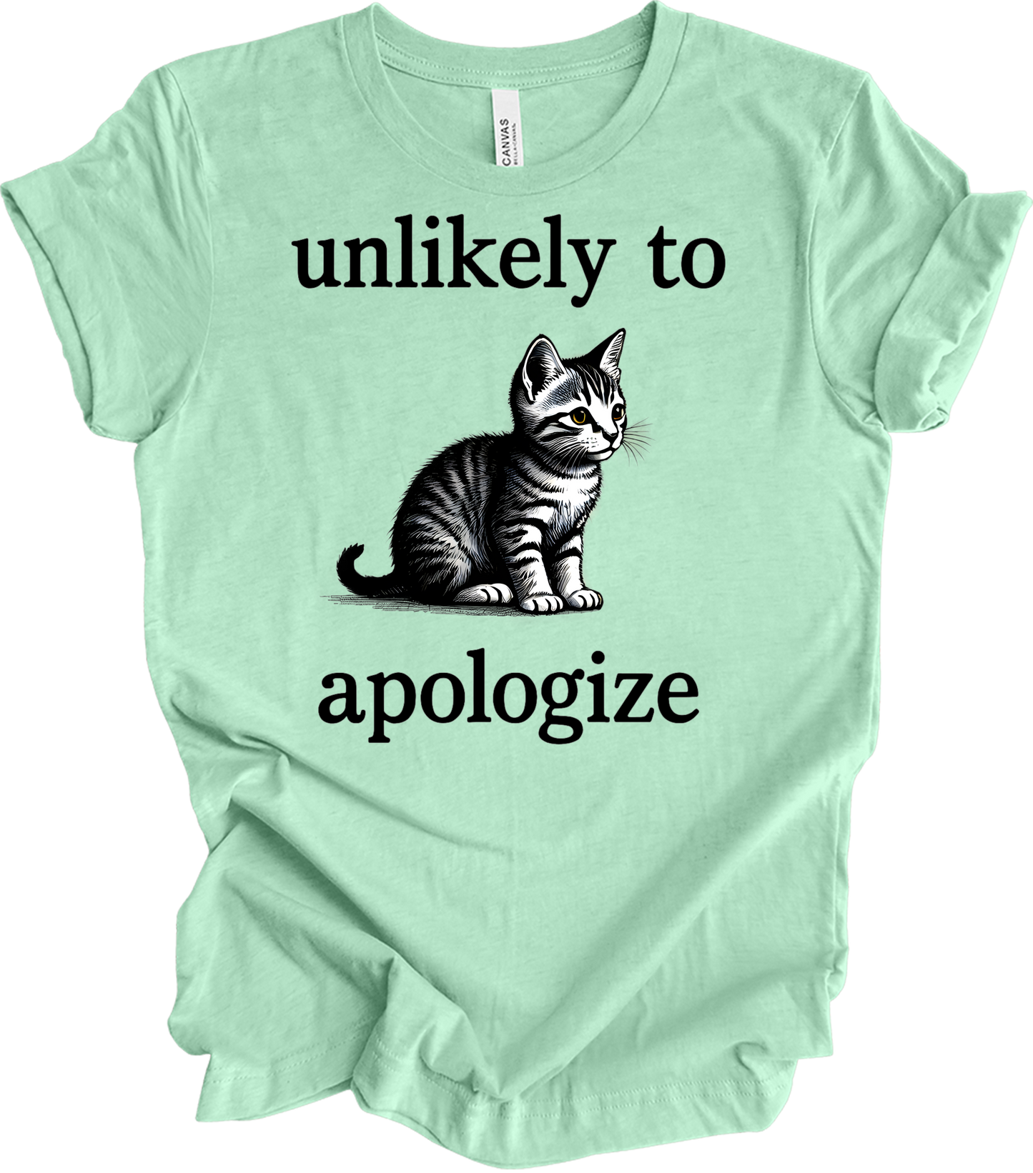 Cute Cat Lover's T-Shirt in Heather Mint