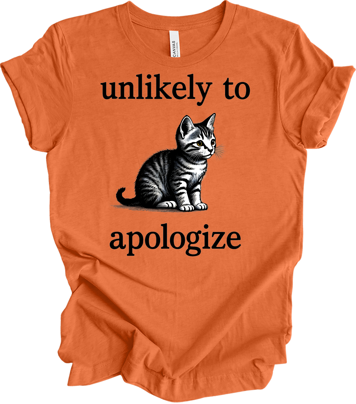 Cute Cat Lover's T-Shirt in Heather Orange