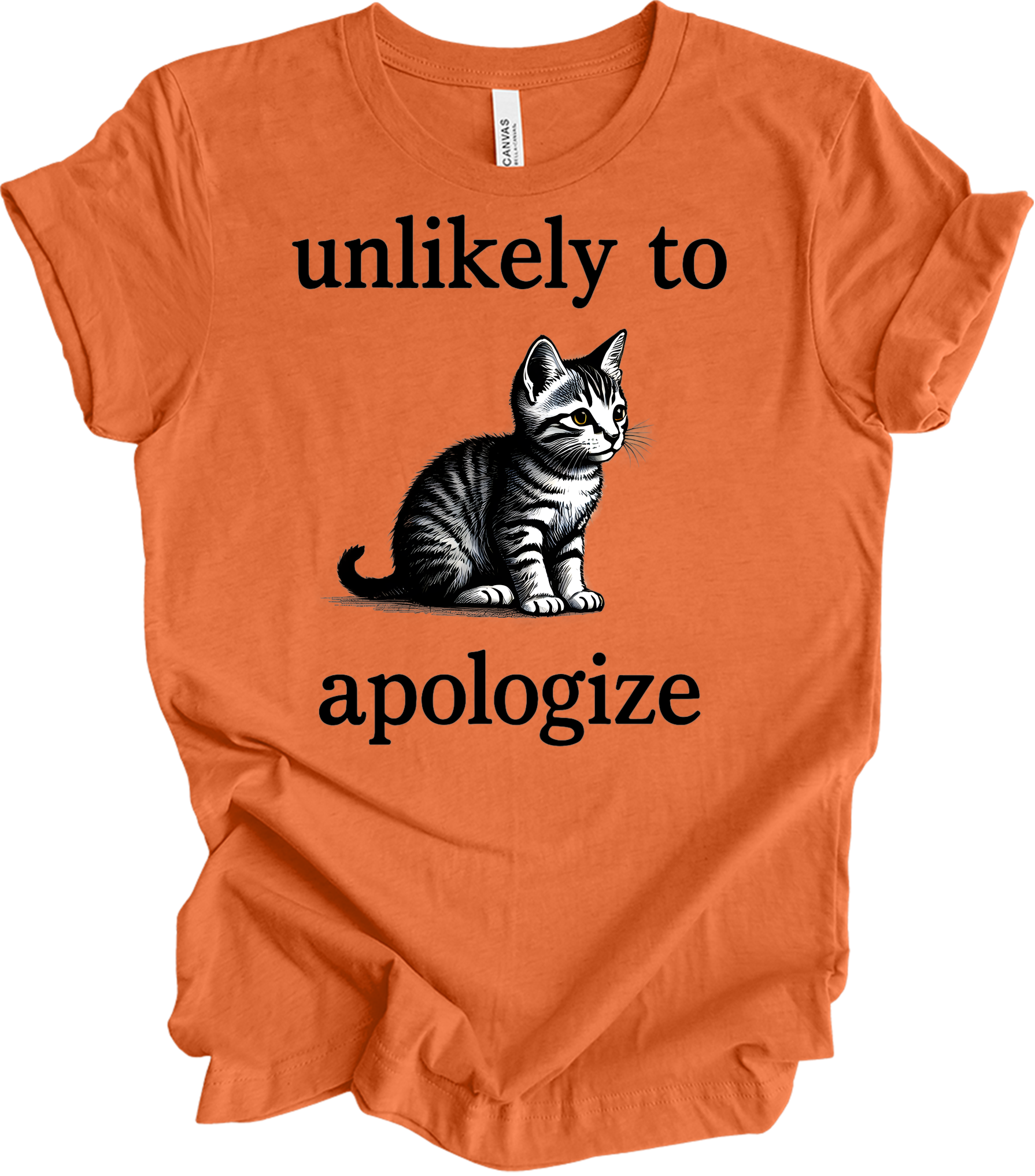 Cute Cat Lover's T-Shirt in Heather Orange