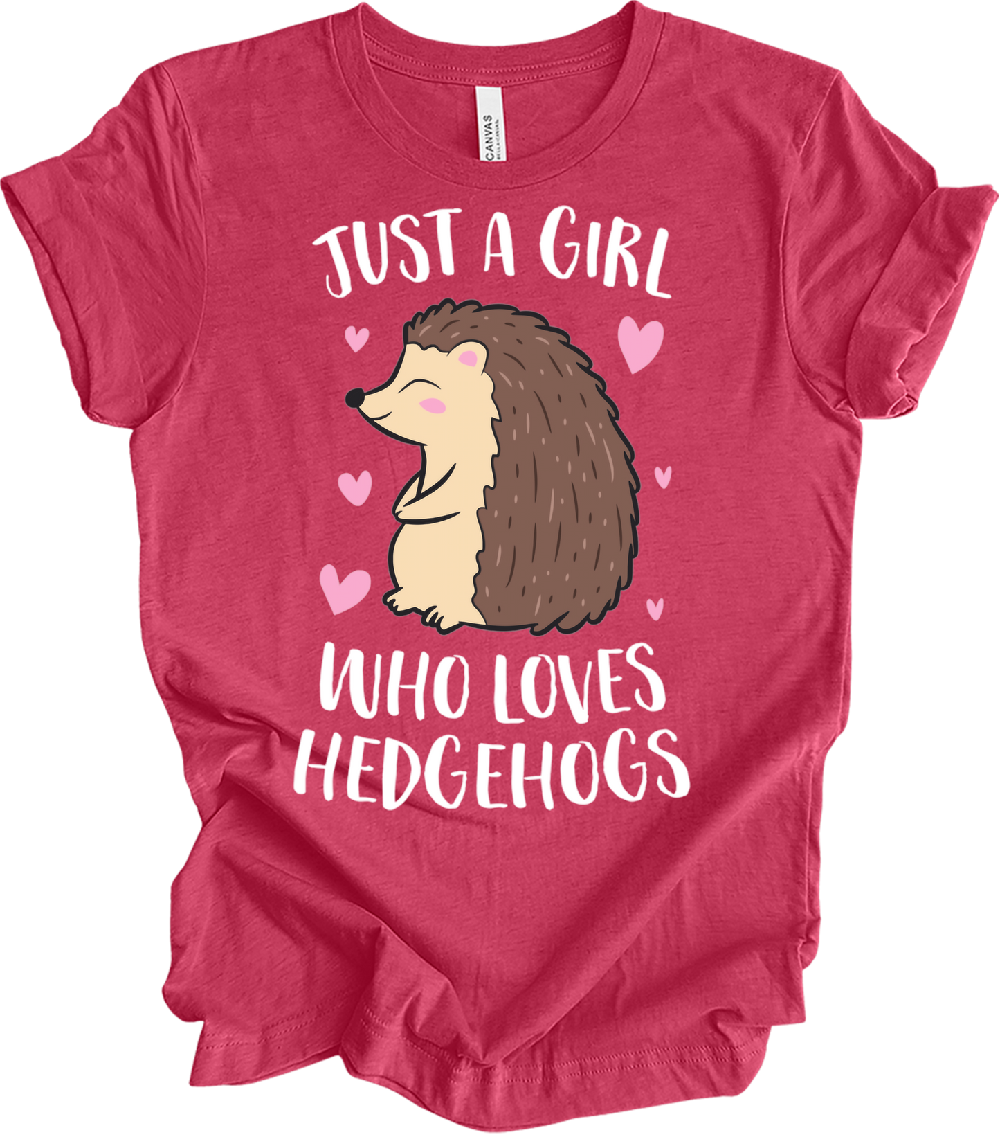 Just a Girl Who Loves Hedgehogs Cute Hedgehog Girl T-Shirt in Heather Raspberry