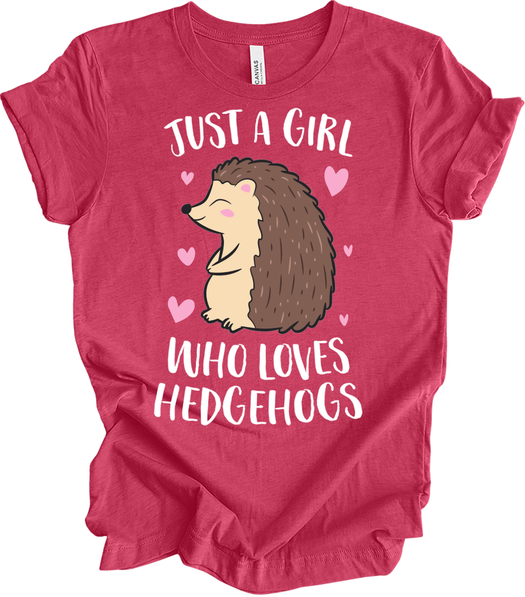 Just a Girl Who Loves Hedgehogs Cute Hedgehog Girl T-Shirt in Heather Raspberry