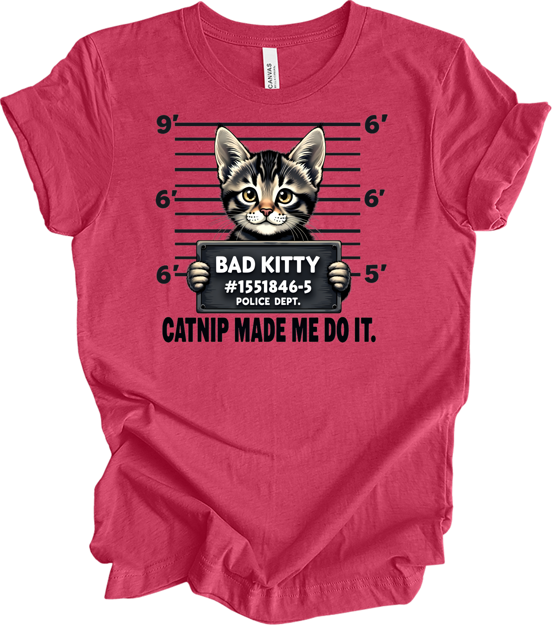 Catnip Made Me Do It Cat T-Shirt in Heather Raspberry