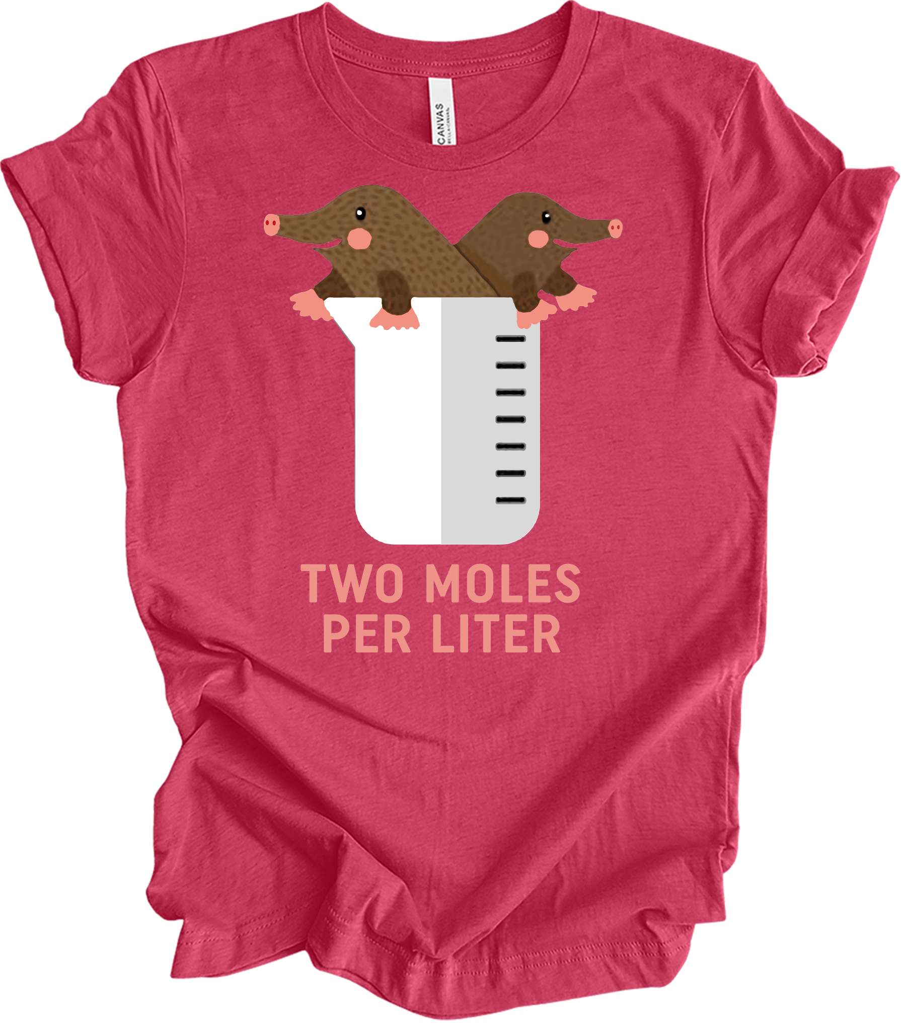 Two Moles Per Liter Funny Chemistry Science T-Shirt in Heather Raspberry