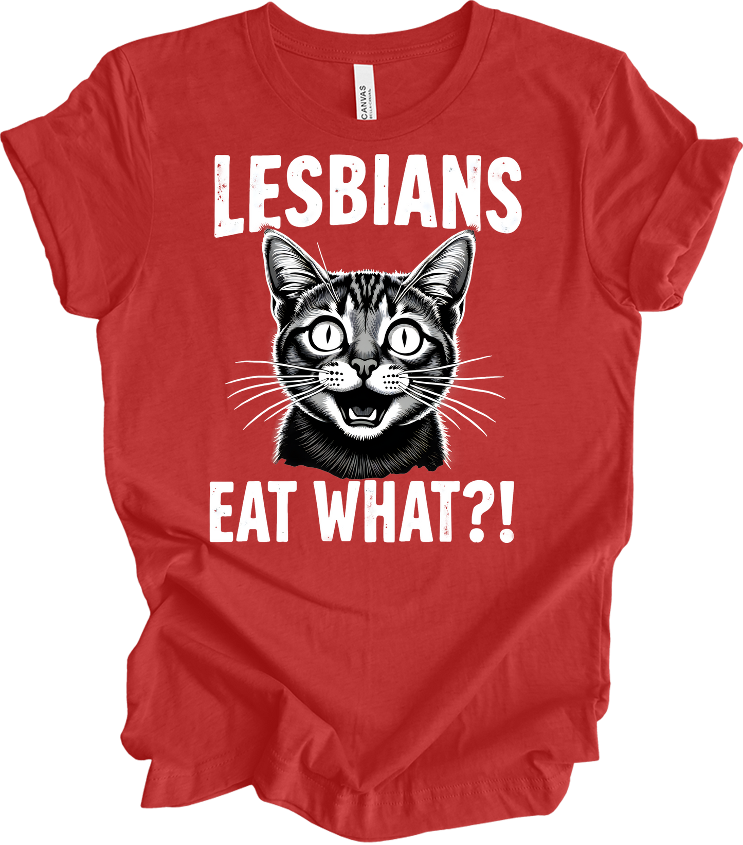 Surprised Cat Meme LGBTQ+ T-Shirt in Heather Red