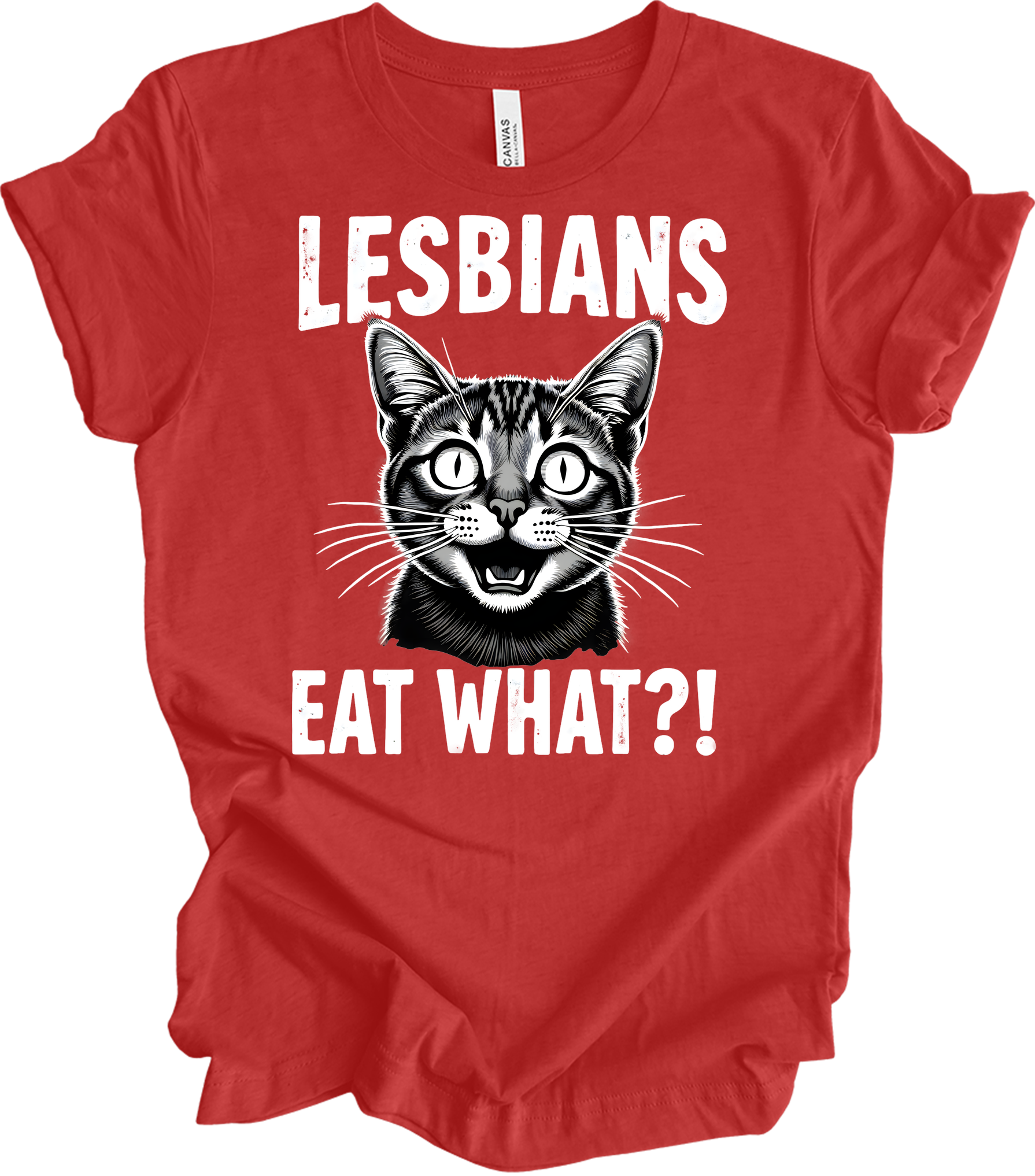 Surprised Cat Meme LGBTQ+ T-Shirt in Heather Red