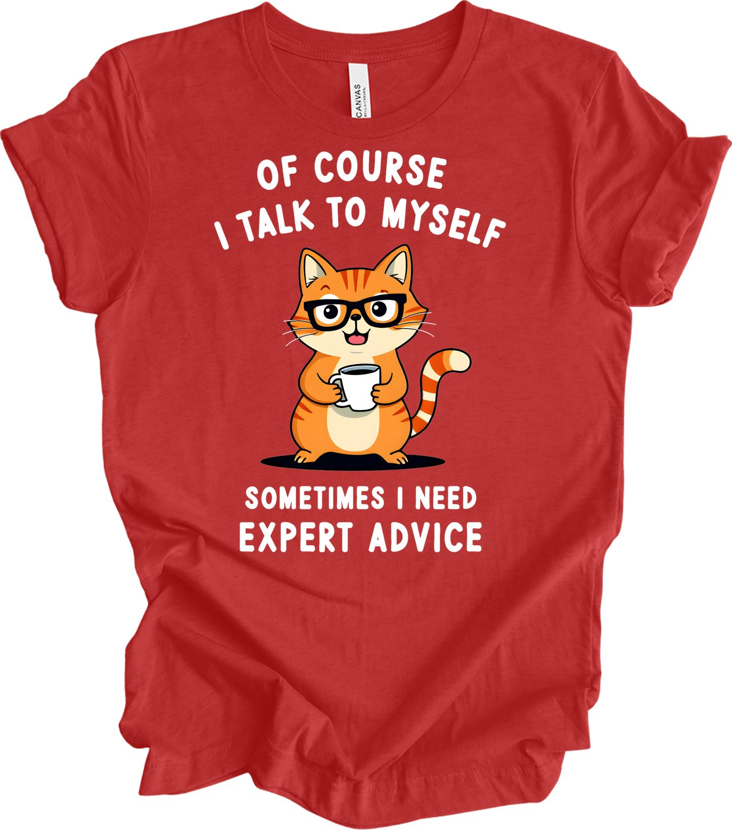 Cat Lover Talk to Myself T-Shirt in Heather Red