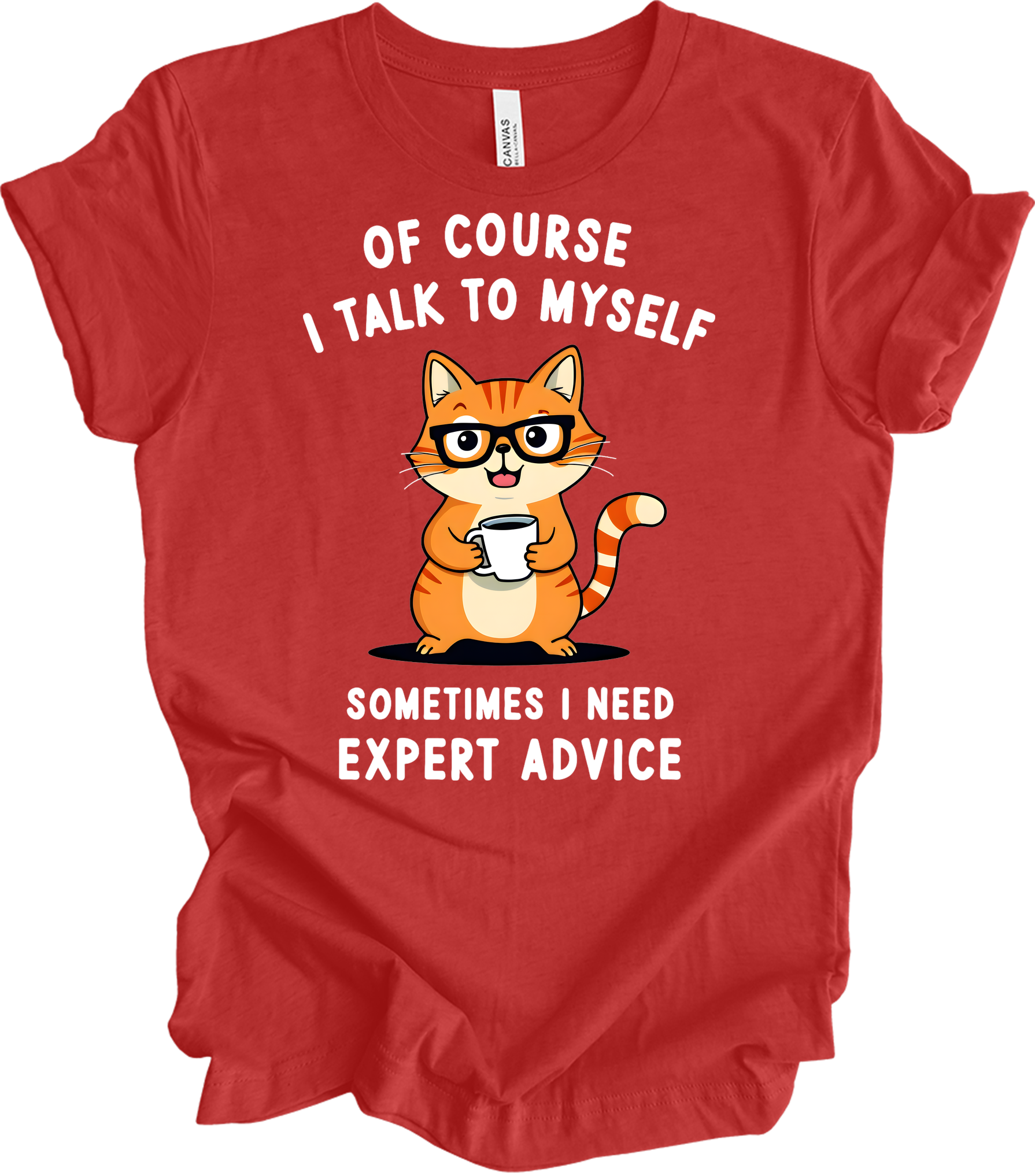 Cat Lover Talk to Myself T-Shirt in Heather Red