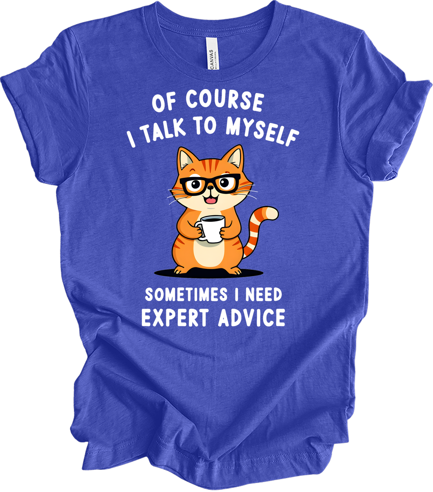 Cat Lover Talk to Myself T-Shirt in Heather Royal