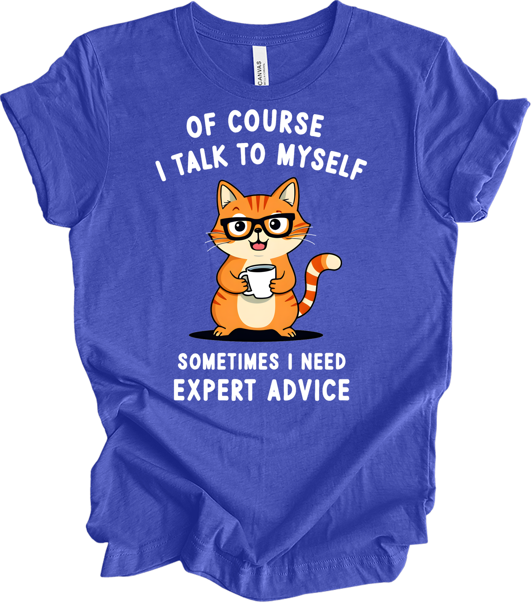 Cat Lover Talk to Myself T-Shirt in Heather Royal