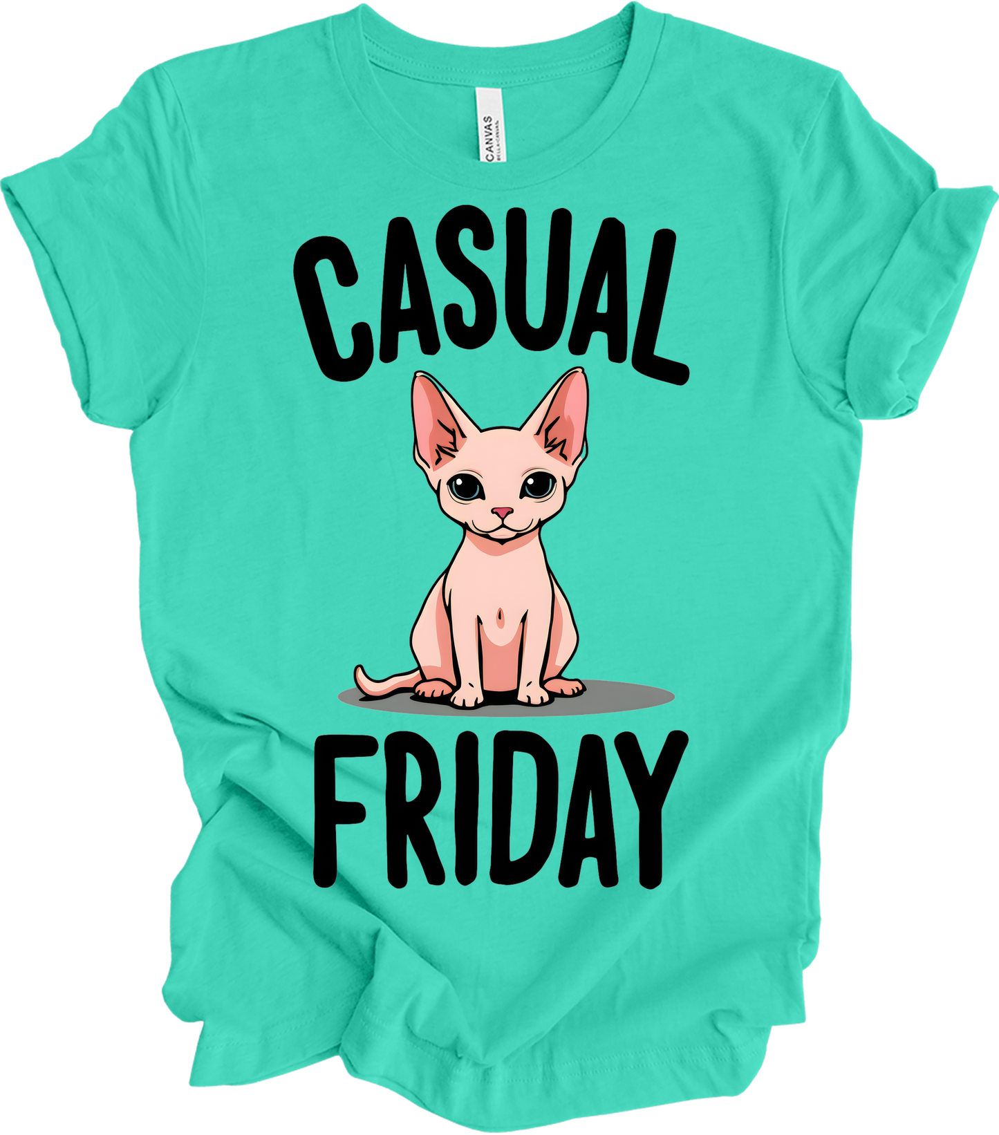 Casual Friday Hairless Cat T-Shirt in Heather Teal