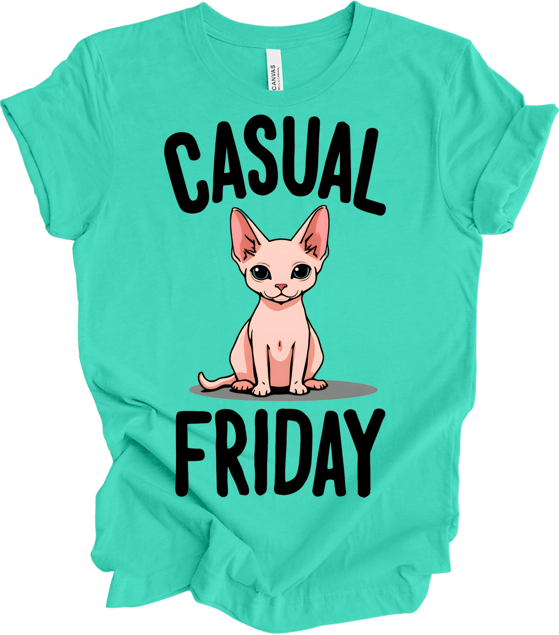Casual Friday Hairless Cat T-Shirt in Heather Teal