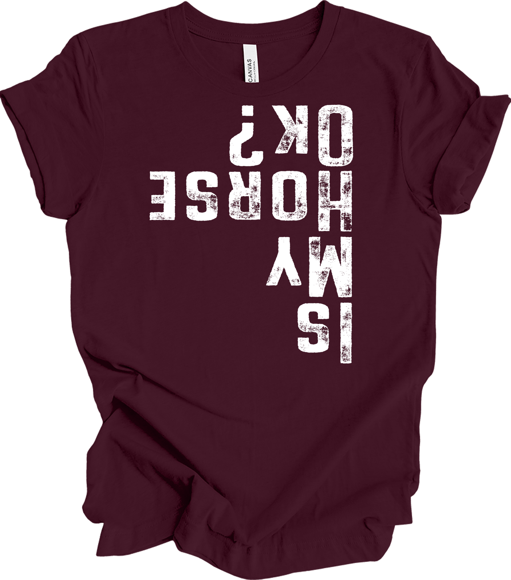 Is My Horse OK? Equestrian T-Shirt in Maroon