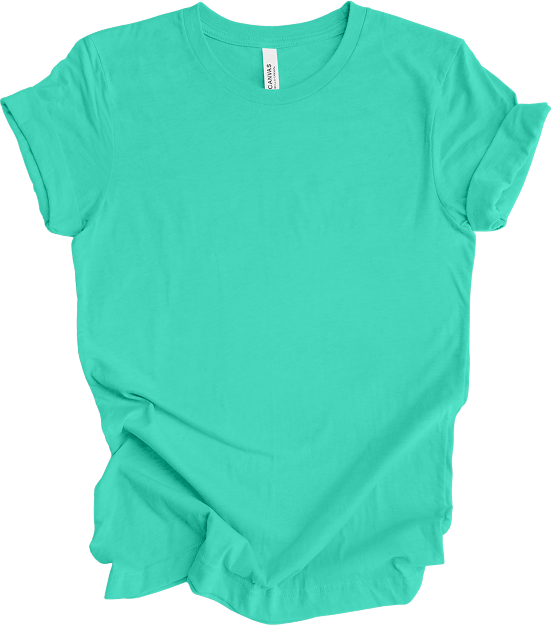 Bella Canvas 'Paused My Game' T-Shirt in Teal
