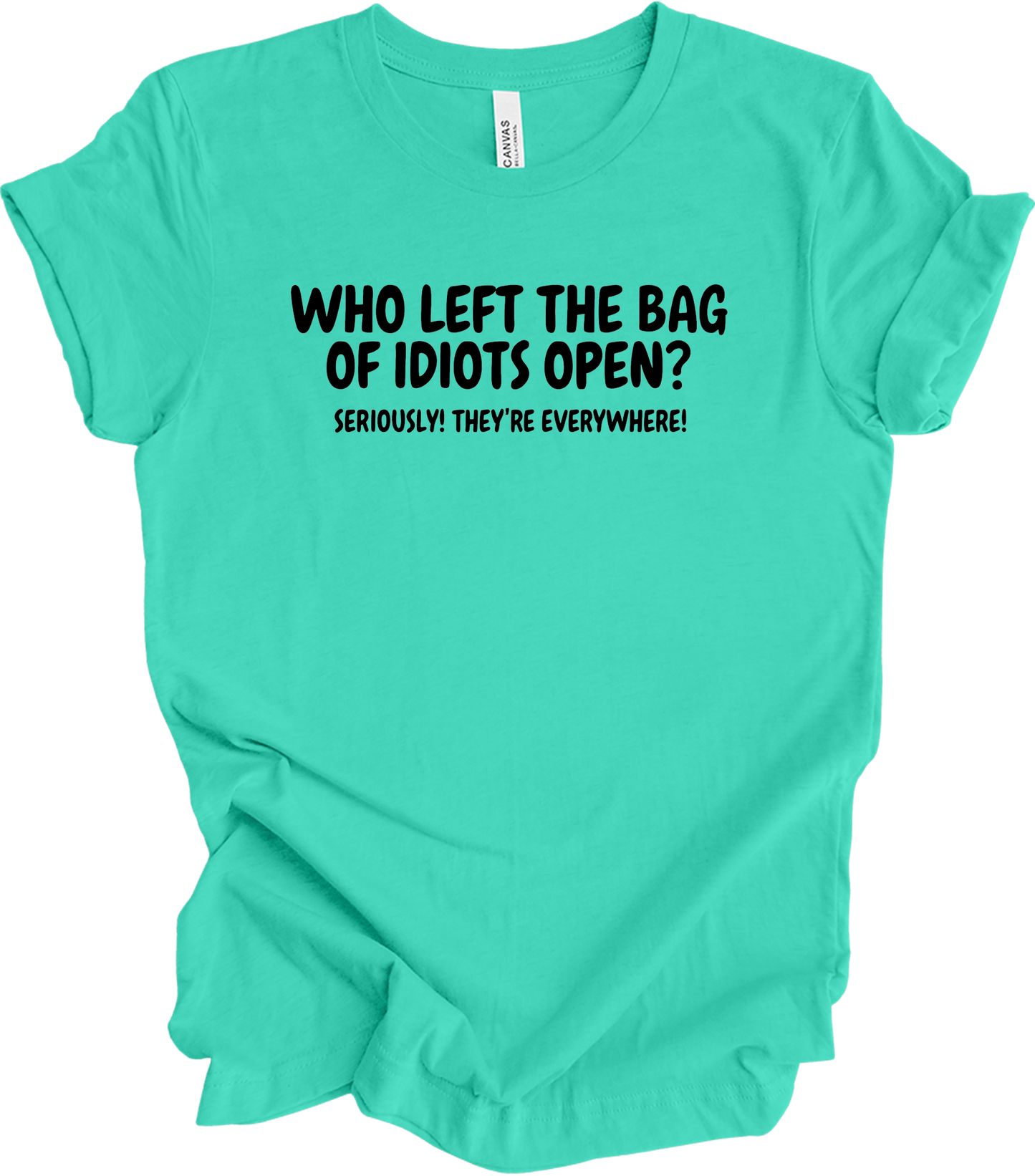 Bag of Idiots Open T-Shirt in Teal