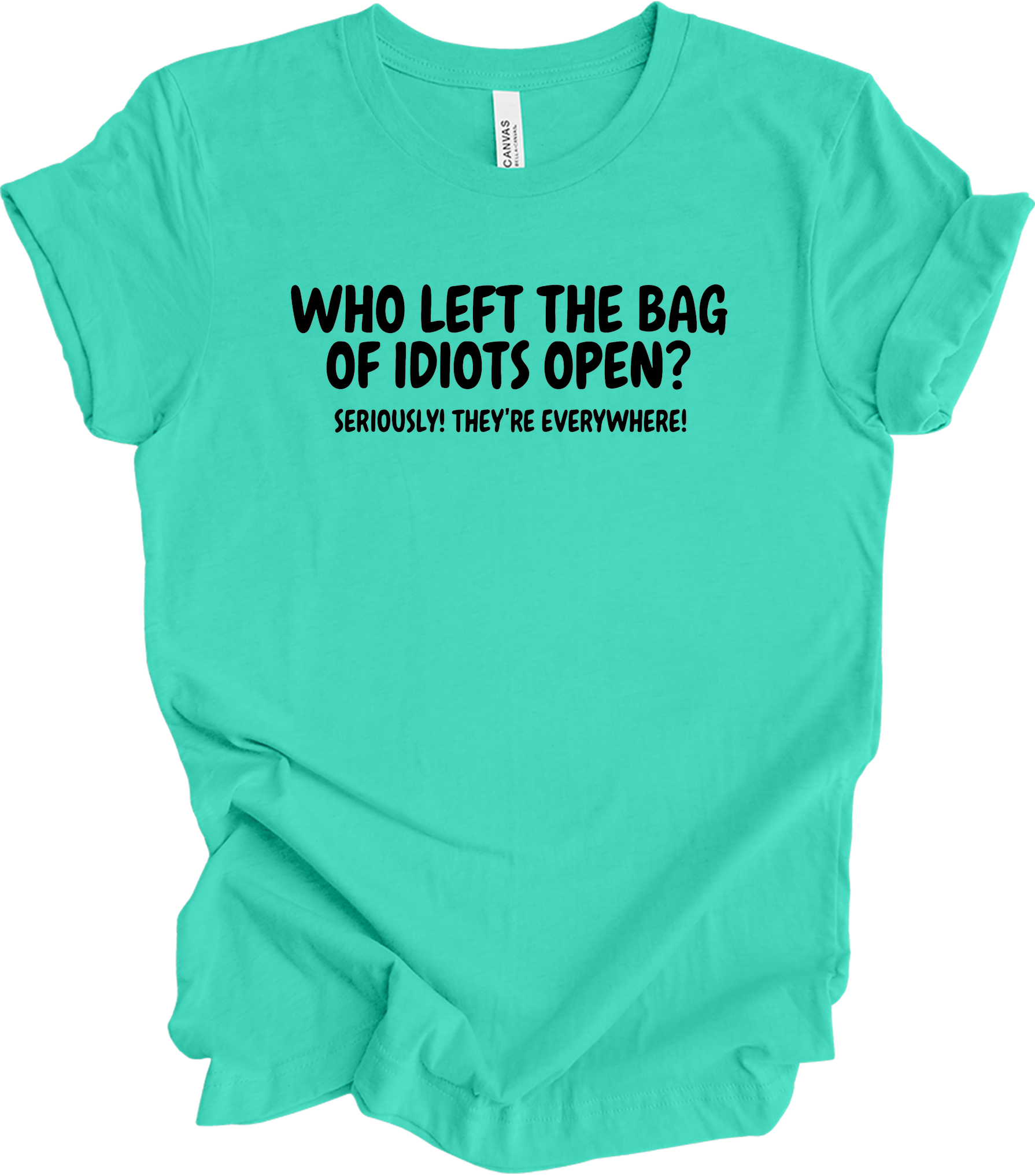 Bag of Idiots Open T-Shirt in Teal