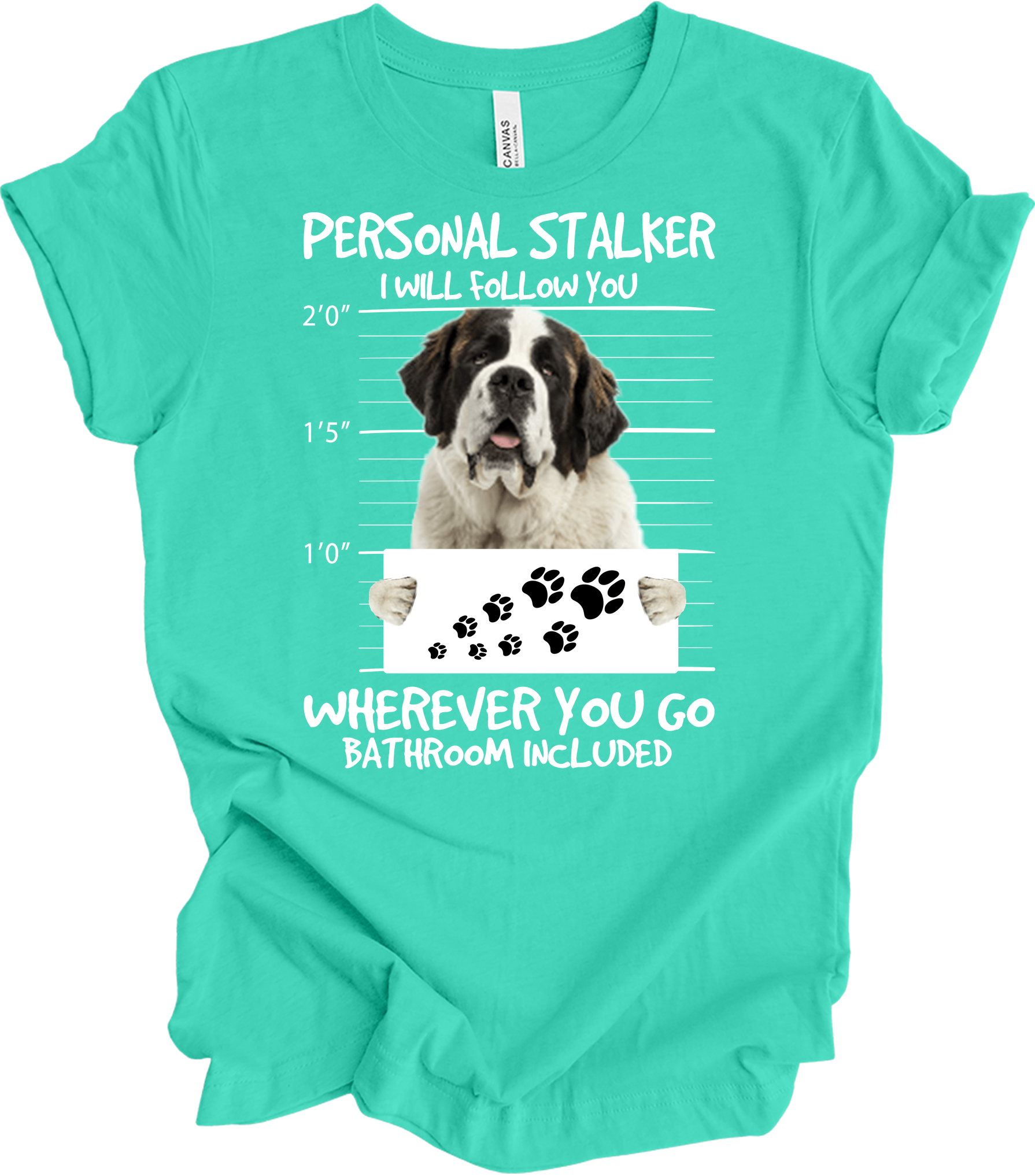 Saint Bernard Personal Stalker T-Shirt in Teal