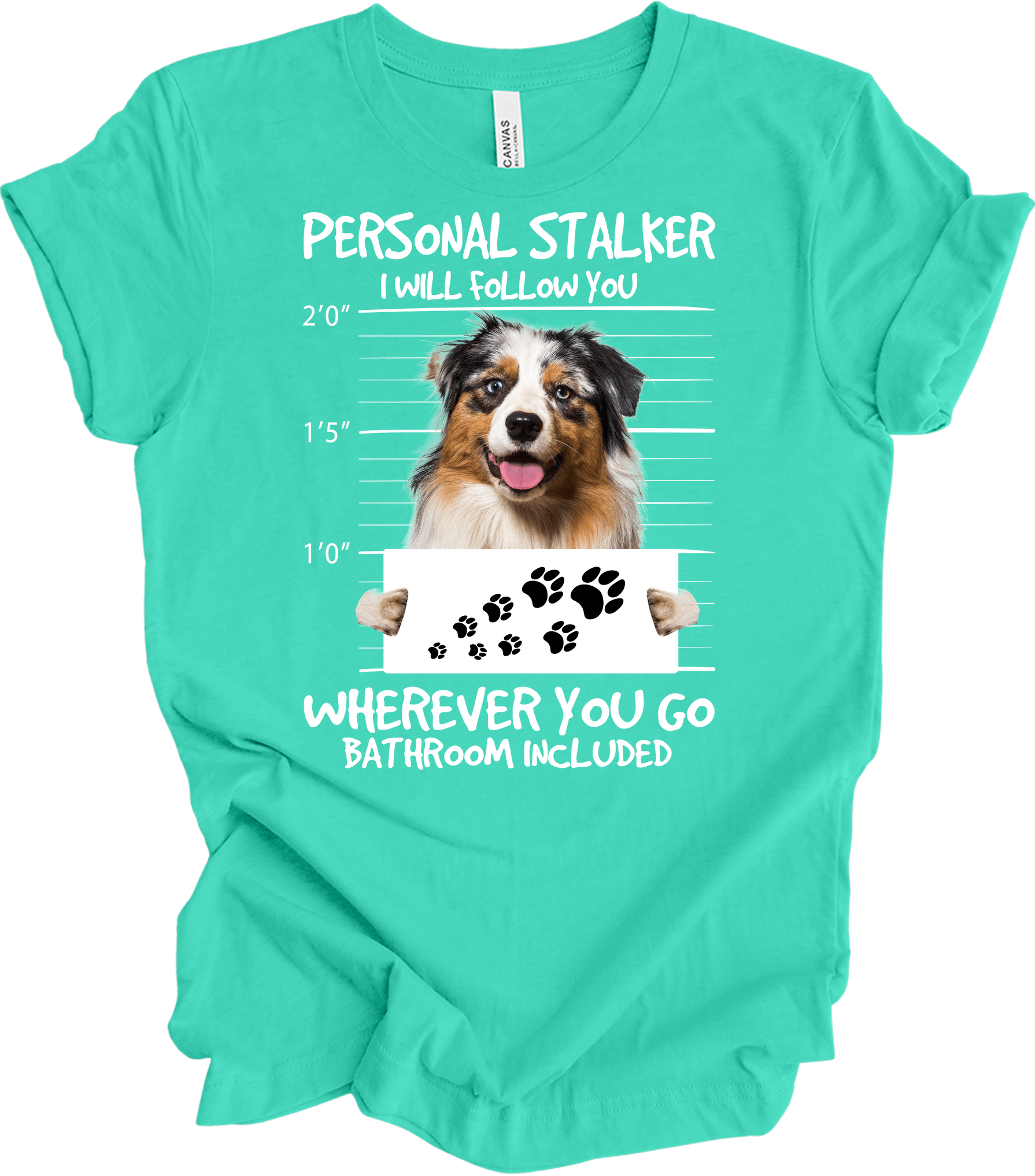 Aussie Shepherd Stalker T-Shirt in Teal