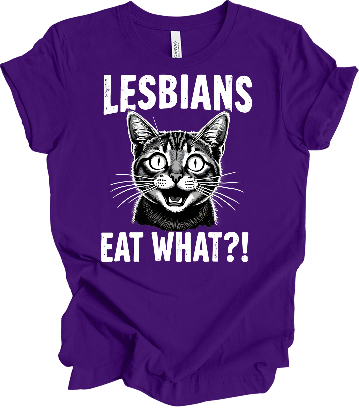 Surprised Cat Meme LGBTQ+ T-Shirt in Team Purple