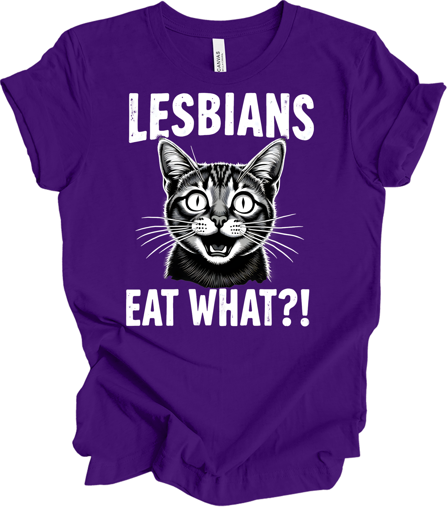 Surprised Cat Meme LGBTQ+ T-Shirt in Team Purple
