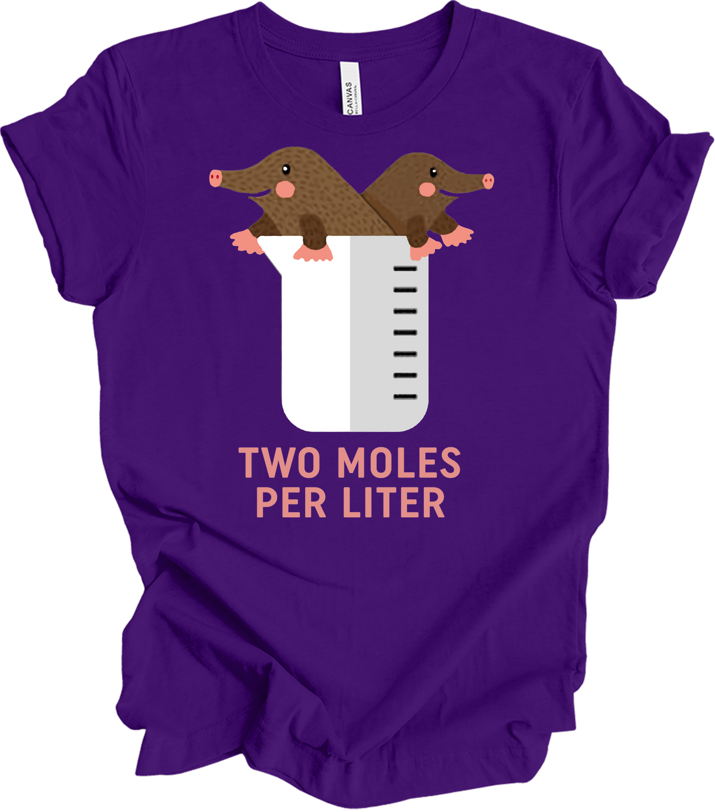Two Moles Per Liter Funny Chemistry Science T-Shirt in Team Purple