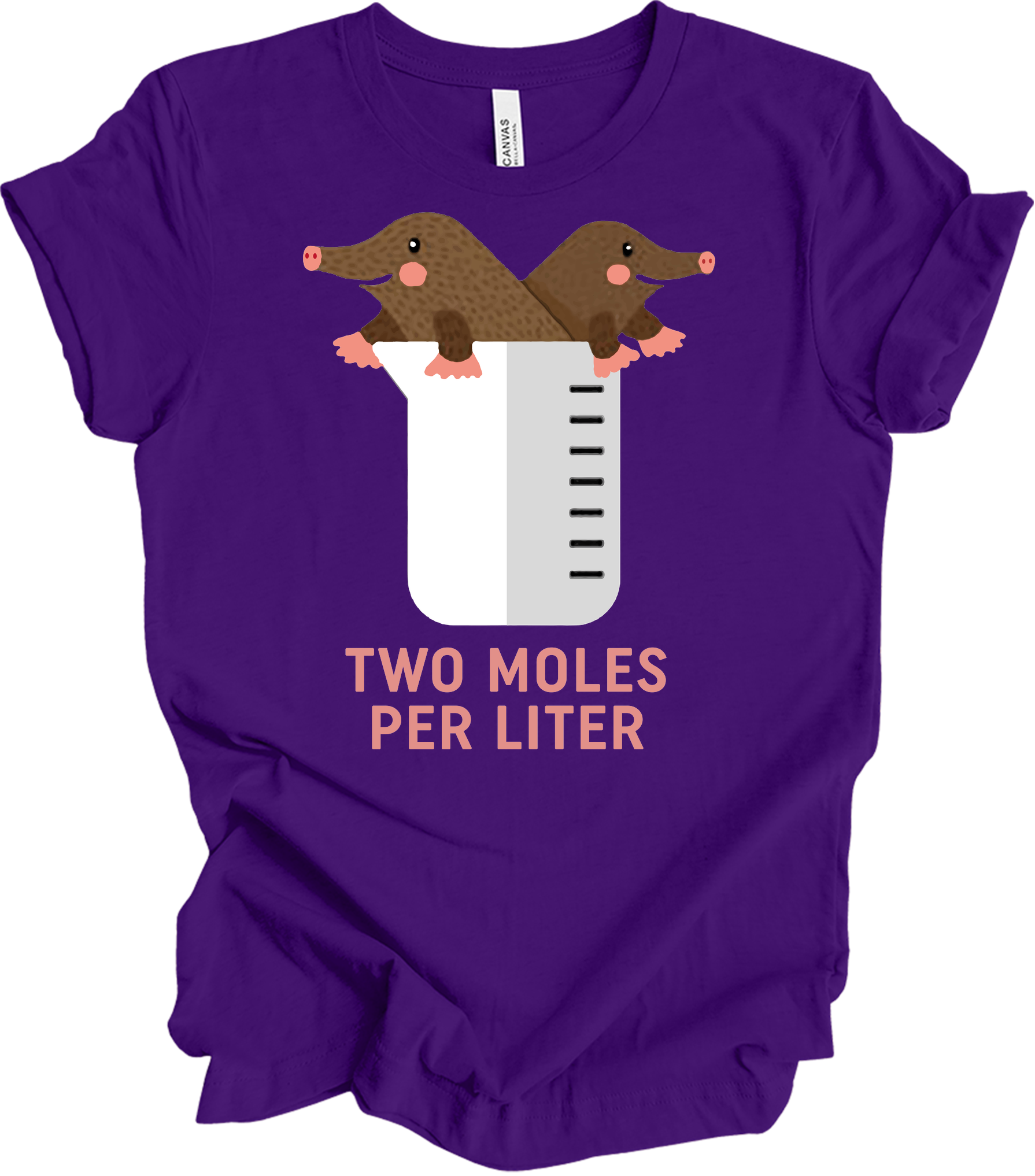 Two Moles Per Liter Funny Chemistry Science T-Shirt in Team Purple