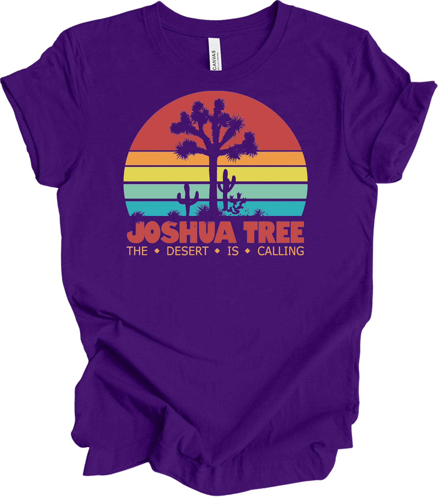 Joshua Tree Vintage T-Shirt in Team Purple