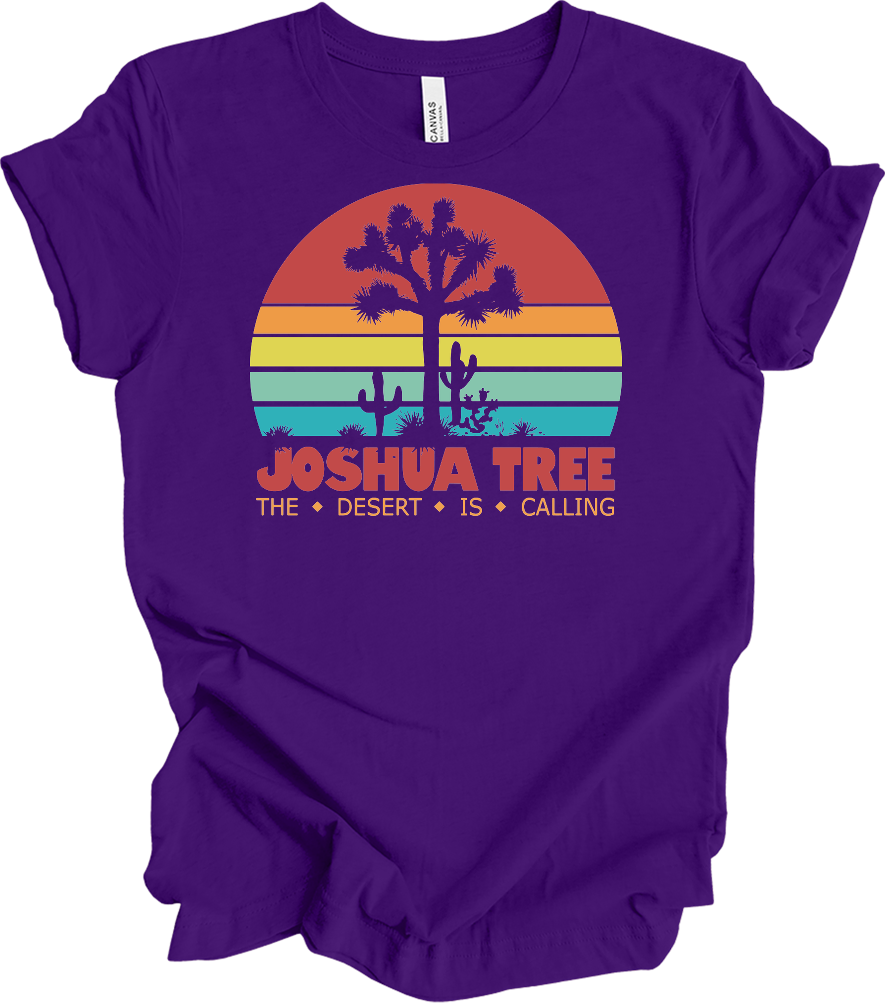 Joshua Tree Vintage T-Shirt in Team Purple