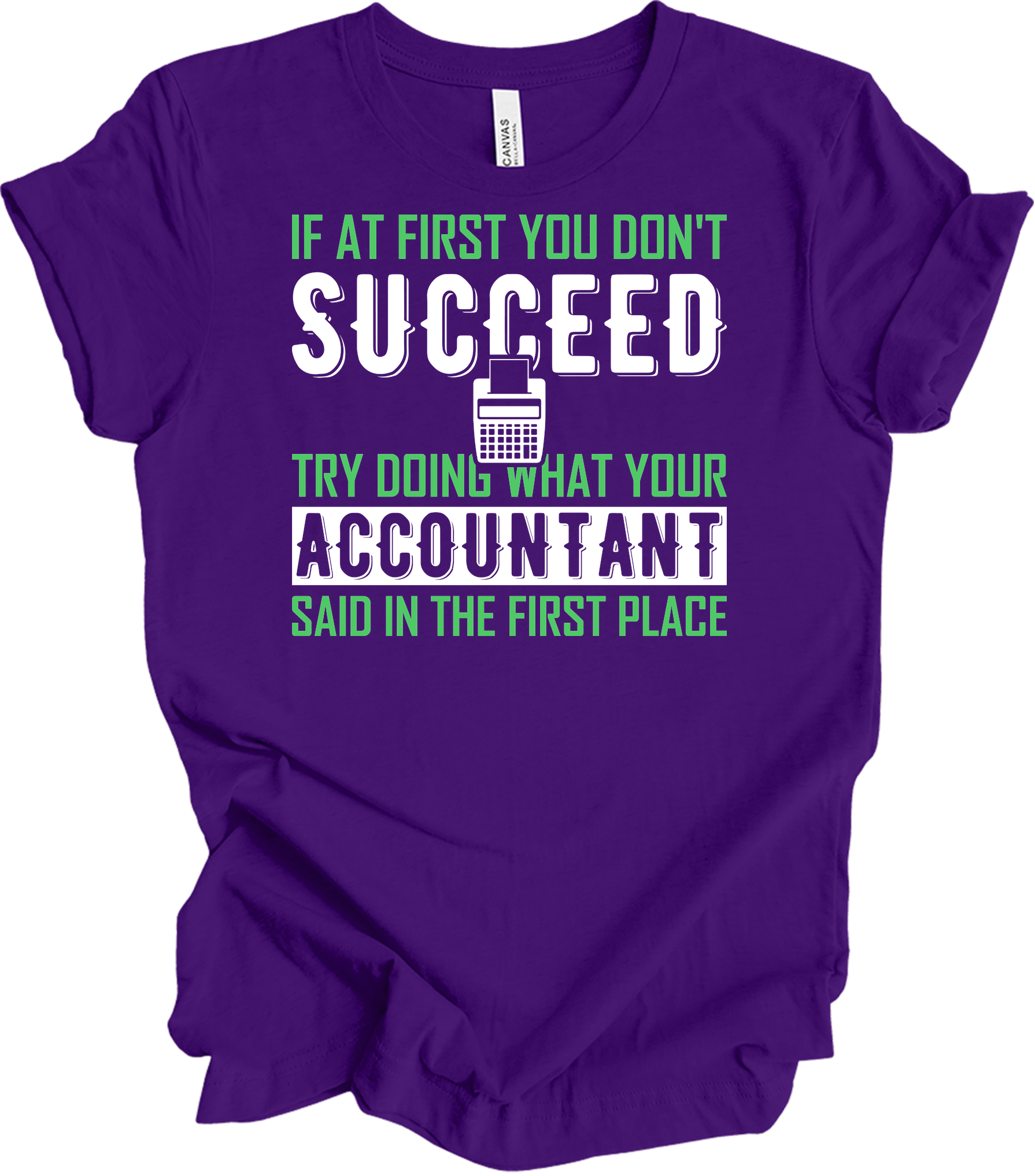 Do What Your Accountant Said T-Shirt in Team Purple